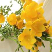 ヒメ日記 2025/03/02 10:15 投稿 りお 夜這専門発情する奥様たち 谷九店