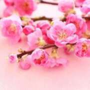 ヒメ日記 2025/03/03 10:17 投稿 りお 夜這専門発情する奥様たち 谷九店