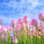 ヒメ日記 2025/03/04 10:02 投稿 りお 夜這専門発情する奥様たち 谷九店