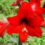 ヒメ日記 2025/03/05 10:02 投稿 りお 夜這専門発情する奥様たち 谷九店