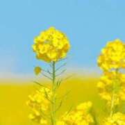 ヒメ日記 2025/03/06 10:02 投稿 りお 夜這専門発情する奥様たち 谷九店