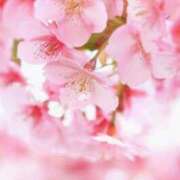 ヒメ日記 2025/03/07 10:02 投稿 りお 夜這専門発情する奥様たち 谷九店