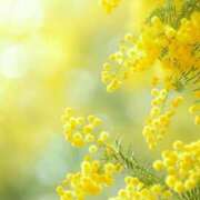 ヒメ日記 2025/03/08 10:02 投稿 りお 夜這専門発情する奥様たち 谷九店