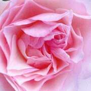 ヒメ日記 2025/03/09 09:02 投稿 りお 夜這専門発情する奥様たち 谷九店