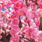 ヒメ日記 2025/03/10 10:02 投稿 りお 夜這専門発情する奥様たち 谷九店