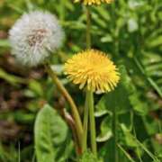 ヒメ日記 2025/03/11 10:02 投稿 りお 夜這専門発情する奥様たち 谷九店