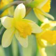 ヒメ日記 2025/03/12 10:02 投稿 りお 夜這専門発情する奥様たち 谷九店