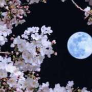 ヒメ日記 2025/03/12 10:21 投稿 りお 夜這専門発情する奥様たち 谷九店