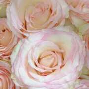 ヒメ日記 2025/03/15 09:02 投稿 りお 夜這専門発情する奥様たち 谷九店