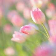 ヒメ日記 2025/03/16 10:04 投稿 りお 夜這専門発情する奥様たち 谷九店