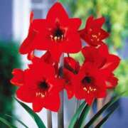 ヒメ日記 2025/03/17 10:02 投稿 りお 夜這専門発情する奥様たち 谷九店