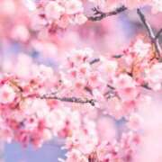 ヒメ日記 2025/03/20 09:19 投稿 りお 夜這専門発情する奥様たち 谷九店