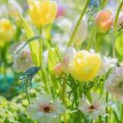 ヒメ日記 2025/03/21 09:02 投稿 りお 夜這専門発情する奥様たち 谷九店