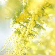 ヒメ日記 2025/03/23 09:02 投稿 りお 夜這専門発情する奥様たち 谷九店