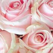 ヒメ日記 2025/03/24 09:09 投稿 りお 夜這専門発情する奥様たち 谷九店