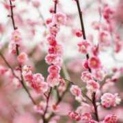 ヒメ日記 2025/03/25 10:11 投稿 りお 夜這専門発情する奥様たち 谷九店