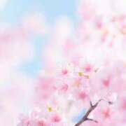 ヒメ日記 2025/03/26 10:11 投稿 りお 夜這専門発情する奥様たち 谷九店