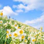 ヒメ日記 2025/03/29 10:02 投稿 りお 夜這専門発情する奥様たち 谷九店