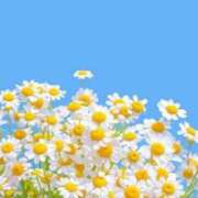 ヒメ日記 2025/03/31 10:11 投稿 りお 夜這専門発情する奥様たち 谷九店