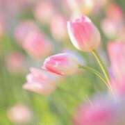 ヒメ日記 2025/04/01 12:51 投稿 りお 夜這専門発情する奥様たち 谷九店