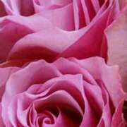 ヒメ日記 2025/04/02 09:11 投稿 りお 夜這専門発情する奥様たち 谷九店