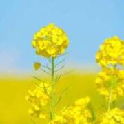 ヒメ日記 2025/04/03 10:02 投稿 りお 夜這専門発情する奥様たち 谷九店