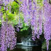 ヒメ日記 2025/04/04 10:02 投稿 りお 夜這専門発情する奥様たち 谷九店