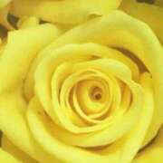 ヒメ日記 2025/04/05 09:03 投稿 りお 夜這専門発情する奥様たち 谷九店