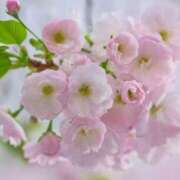 ヒメ日記 2025/04/06 10:02 投稿 りお 夜這専門発情する奥様たち 谷九店