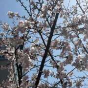 ヒメ日記 2025/04/06 10:41 投稿 りお 夜這専門発情する奥様たち 谷九店