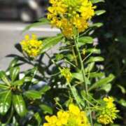 ヒメ日記 2025/04/08 09:02 投稿 りお 夜這専門発情する奥様たち 谷九店