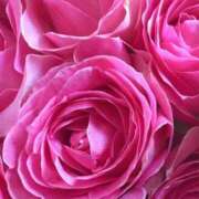 ヒメ日記 2025/04/09 09:02 投稿 りお 夜這専門発情する奥様たち 谷九店