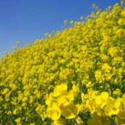 ヒメ日記 2025/04/10 10:11 投稿 りお 夜這専門発情する奥様たち 谷九店