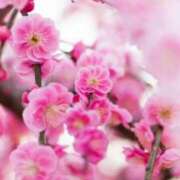 ヒメ日記 2025/04/11 10:02 投稿 りお 夜這専門発情する奥様たち 谷九店