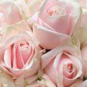 ヒメ日記 2025/04/12 09:02 投稿 りお 夜這専門発情する奥様たち 谷九店