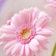 ヒメ日記 2025/04/13 10:11 投稿 りお 夜這専門発情する奥様たち 谷九店