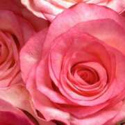 ヒメ日記 2025/04/15 09:41 投稿 りお 夜這専門発情する奥様たち 谷九店