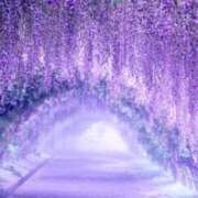 ヒメ日記 2025/04/17 10:02 投稿 りお 夜這専門発情する奥様たち 谷九店