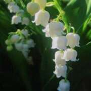 ヒメ日記 2025/04/18 10:01 投稿 りお 夜這専門発情する奥様たち 谷九店