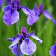 ヒメ日記 2025/04/20 10:02 投稿 りお 夜這専門発情する奥様たち 谷九店