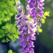 ヒメ日記 2025/04/22 10:13 投稿 りお 夜這専門発情する奥様たち 谷九店