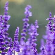 ヒメ日記 2025/04/23 11:02 投稿 りお 夜這専門発情する奥様たち 谷九店