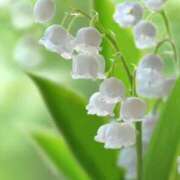 ヒメ日記 2025/04/24 10:01 投稿 りお 夜這専門発情する奥様たち 谷九店