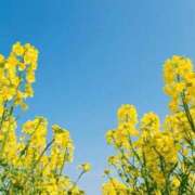 ヒメ日記 2025/04/26 11:01 投稿 りお 夜這専門発情する奥様たち 谷九店