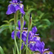 ヒメ日記 2025/04/28 10:02 投稿 りお 夜這専門発情する奥様たち 谷九店