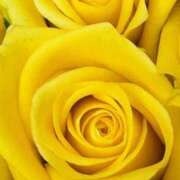 ヒメ日記 2025/04/29 09:01 投稿 りお 夜這専門発情する奥様たち 谷九店