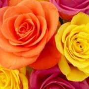 ヒメ日記 2025/05/01 10:02 投稿 りお 夜這専門発情する奥様たち 谷九店