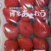 ヒメ日記 2025/05/04 08:11 投稿 りお 夜這専門発情する奥様たち 谷九店
