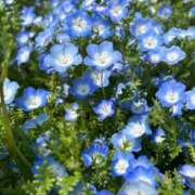 ヒメ日記 2025/05/04 10:02 投稿 りお 夜這専門発情する奥様たち 谷九店