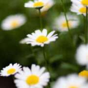 ヒメ日記 2025/05/05 09:40 投稿 りお 夜這専門発情する奥様たち 谷九店